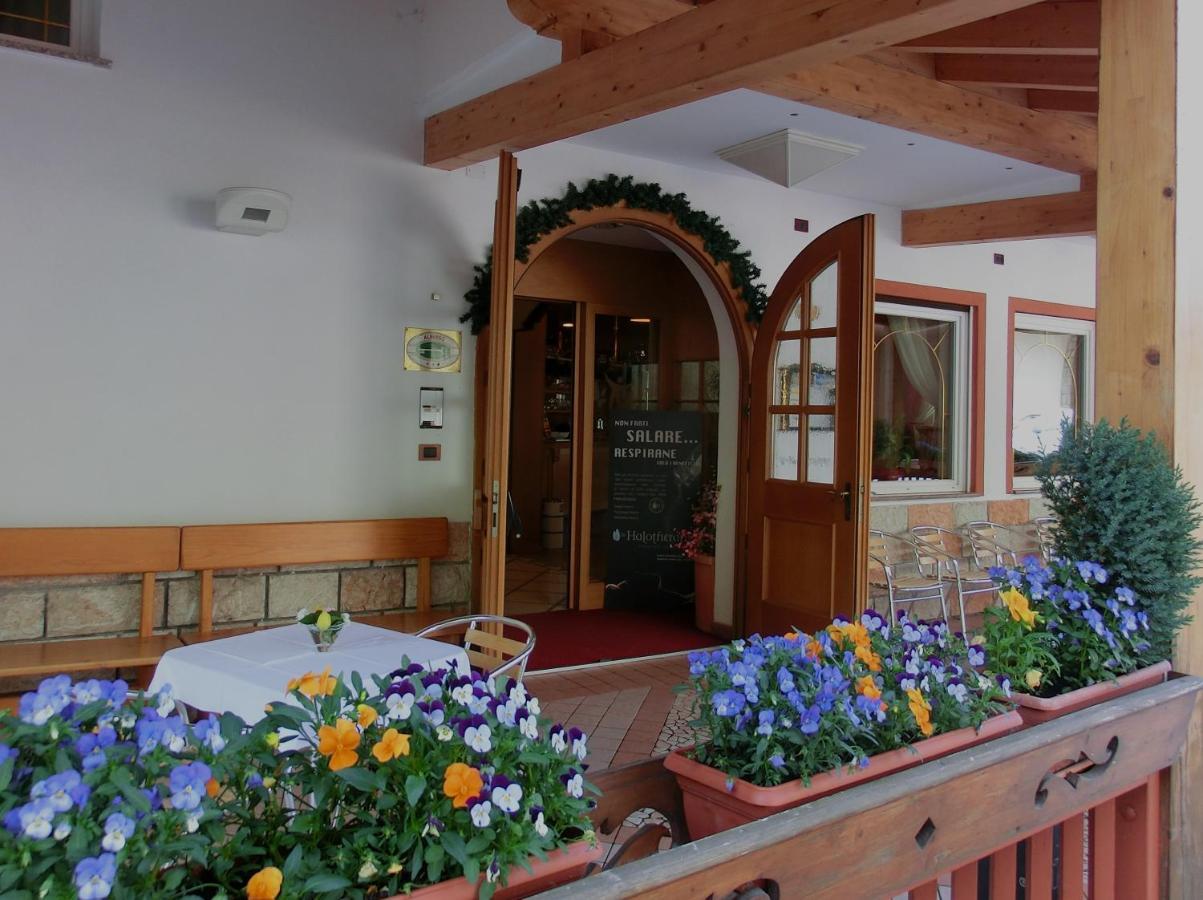 באסלגה די פינה Hotel Belvedere Wellness & Family מראה חיצוני תמונה