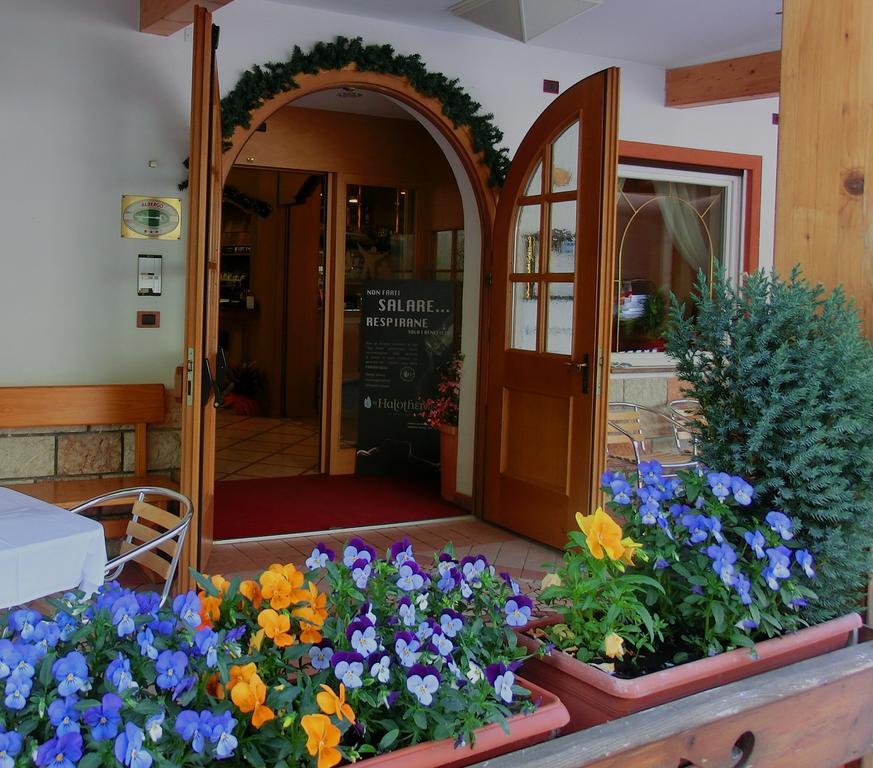 באסלגה די פינה Hotel Belvedere Wellness & Family מראה חיצוני תמונה